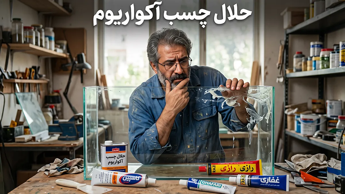 حلال چسب آکواریوم