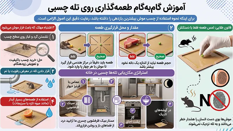 آموزش گام‌ به‌ گام طعمه‌ گذاری روی تله چسبی