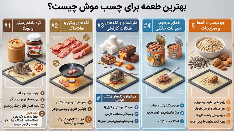 بهترین طعمه برای چسب موش چیست؟